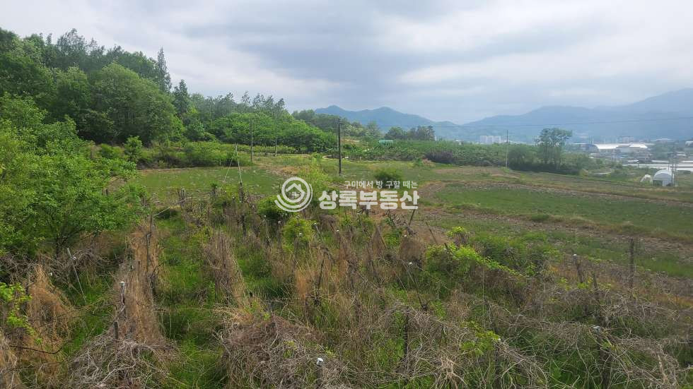 경북 김천시 문당동 김천 문당동 도시지역자연녹지 급매토지 매매 매물번호 10200 사진 2