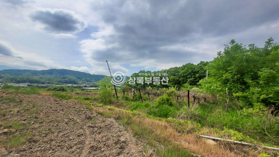경북 김천시 문당동 김천 문당동 도시지역자연녹지 급매토지 매매 매물번호 10200 사진 4
