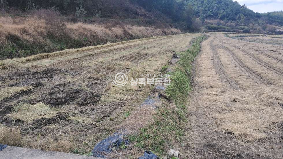 경북 의성군 단촌면 장림리 체류형쉼터, 농막,산아래 조용한 곳 매매 매물번호 10259 사진 2