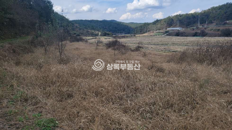 경북 의성군 단촌면 장림리 체류형쉼터, 농막,산아래 조용한 곳 매매 매물번호 10259 사진 3