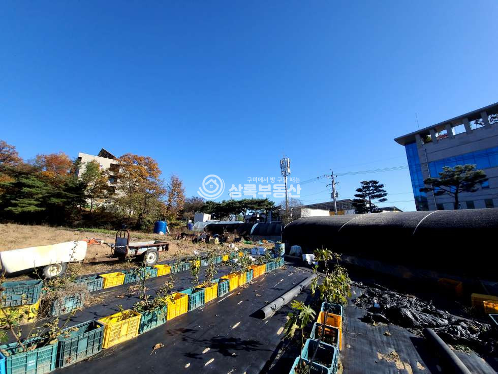 경북 구미시 부곡동 구미대학교인근 시세보다저렴한토 매매 매물번호 10453 사진 5