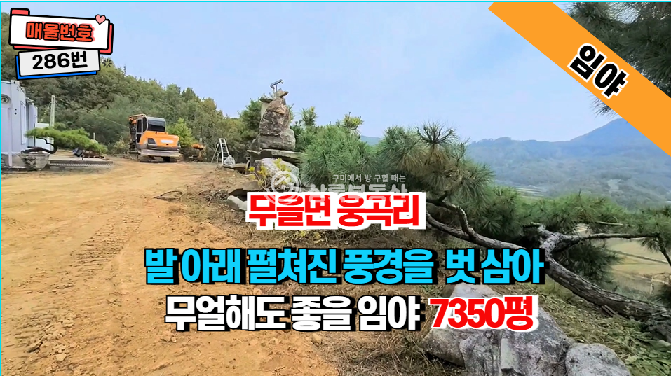 경북 구미시 무을면 웅곡리 자연이 주는 멋진 풍경과, 피톤치드 가득한 소나무와 천연알칼리지하수가 있는 임야 매매 매물번호 10439 사진 1