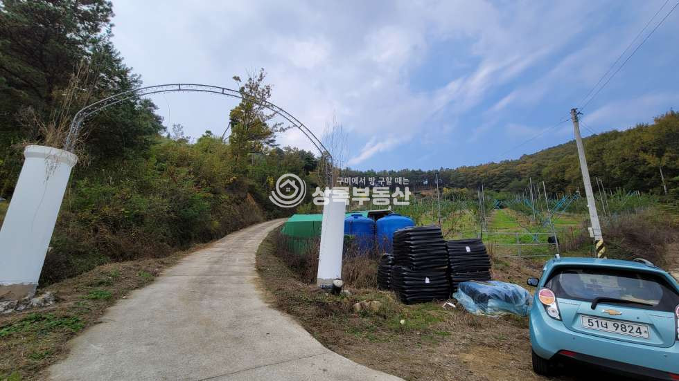 경북 구미시 무을면 웅곡리 자연이 주는 멋진 풍경과, 피톤치드 가득한 소나무와 천연알칼리지하수가 있는 임야 매매 매물번호 10439 사진 2