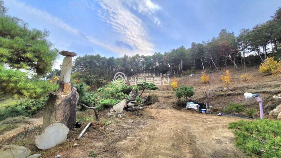 경북 구미시 무을면 웅곡리 자연이 주는 멋진 풍경과, 피톤치드 가득한 소나무와 천연알칼리지하수가 있는 임야 매매 매물번호 10439 사진 5