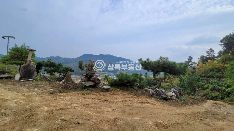 경북 구미시 무을면 웅곡리 자연이 주는 멋진 풍경과, 피톤치드 가득한 소나무와 천연알칼리지하수가 있는 임야 매매 매물번호 10439 사진 10