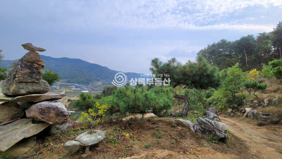 경북 구미시 무을면 웅곡리 자연이 주는 멋진 풍경과, 피톤치드 가득한 소나무와 천연알칼리지하수가 있는 임야 매매 매물번호 10439 사진 11