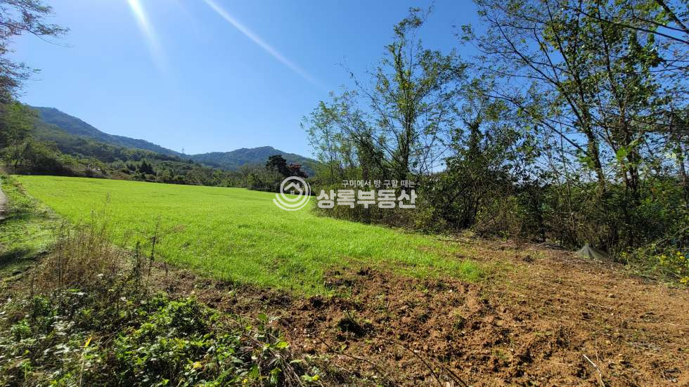 경북 구미시 고아읍 내예리 마을 뒷자락 양지바른 넓은 토지 매매 매물번호 10351 사진 5