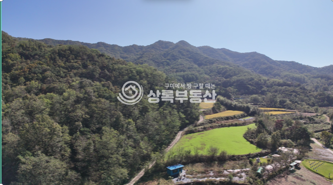경북 구미시 고아읍 내예리 마을 뒷자락 양지바른 넓은 토지 매매 매물번호 10351 사진 6