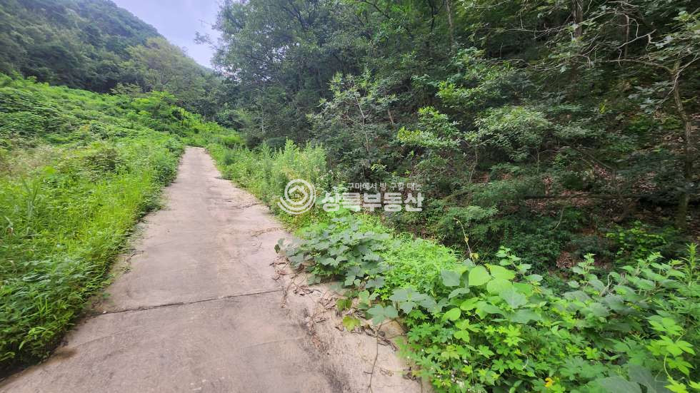 경북 구미시 옥성면 대원리 넓은 국유림을 접한 옥성면 대원리 임야 매매 매물번호 10418 사진 2