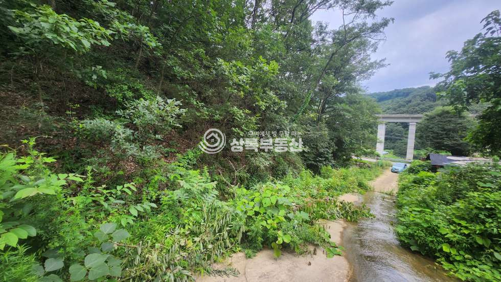 경북 구미시 옥성면 대원리 넓은 국유림을 접한 옥성면 대원리 임야 매매 매물번호 10418 사진 3