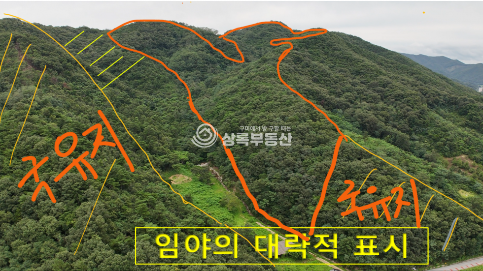 경북 구미시 옥성면 대원리 넓은 국유림을 접한 옥성면 대원리 임야 매매 매물번호 10418 사진 5