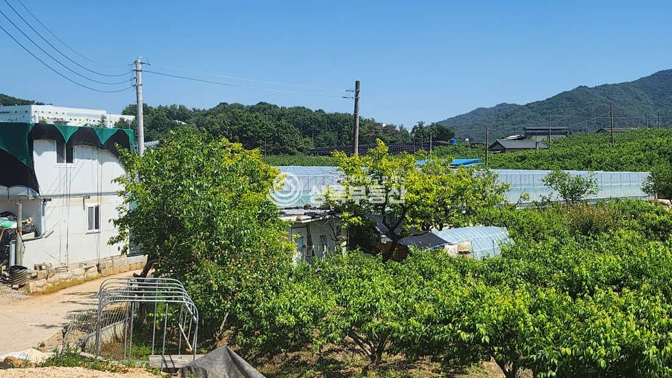 경북 김천시 아포읍 인리 아포논공단지 옆 토지 매매 매물번호 10393 사진 3