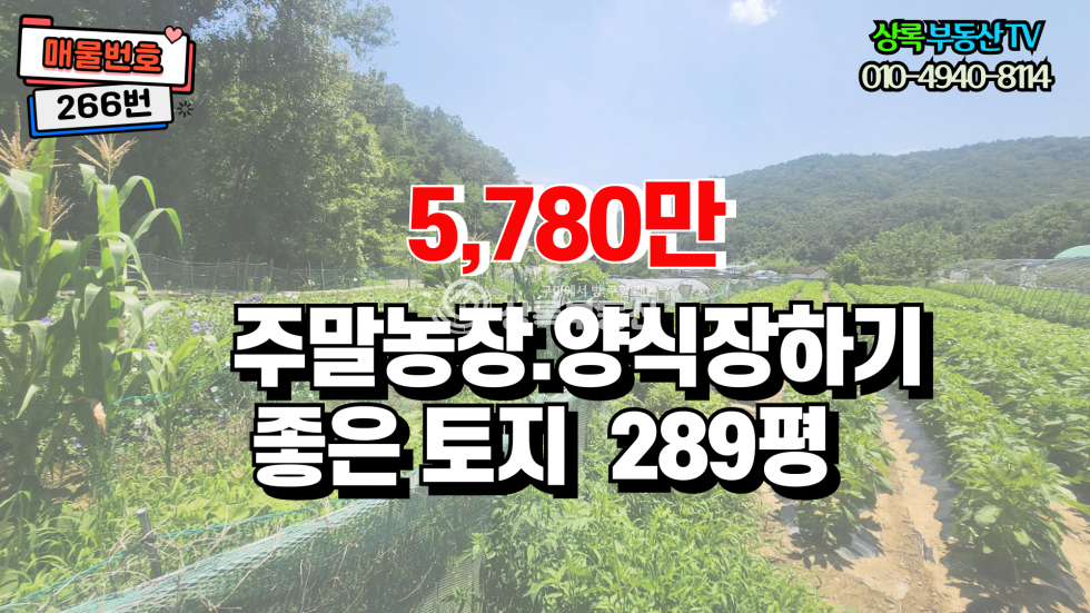 경북 구미시 장천면 금산리 산아래 조용하고한적한장천금산리토지 매매 매물번호 10466 사진 1