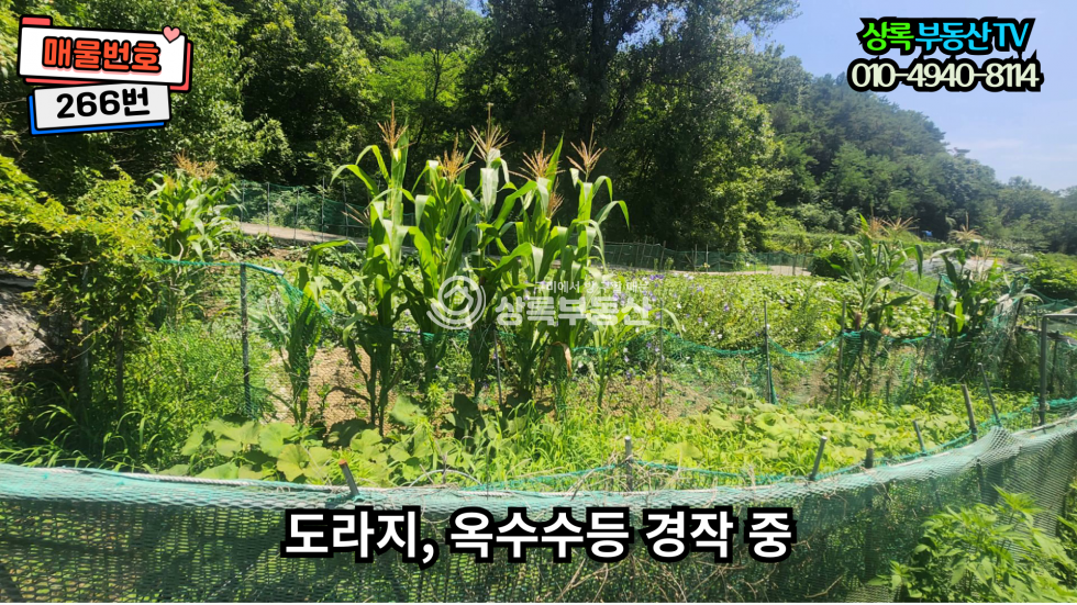 경북 구미시 장천면 금산리 산아래 조용하고한적한장천금산리토지 매매 매물번호 10466 사진 2