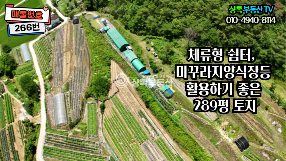 경북 구미시 장천면 금산리 산아래 조용하고한적한장천금산리토지 매매 매물번호 10466 사진 5