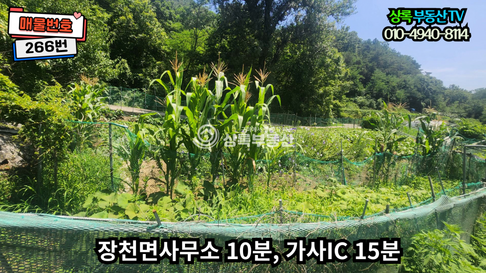 경북 구미시 장천면 금산리 산아래 조용하고한적한장천금산리토지 매매 매물번호 10466 사진 6