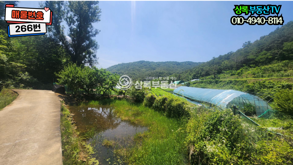 경북 구미시 장천면 금산리 산아래 조용하고한적한장천금산리토지 매매 매물번호 10466 사진 7