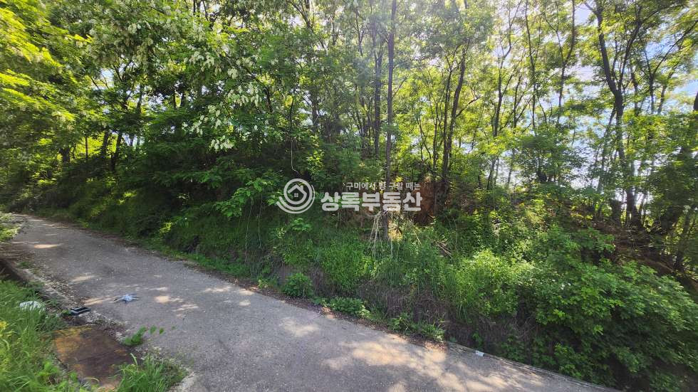 경북 김천시 대광동 김천시대광동주거지역임야 매매 매물번호 10379 사진 3