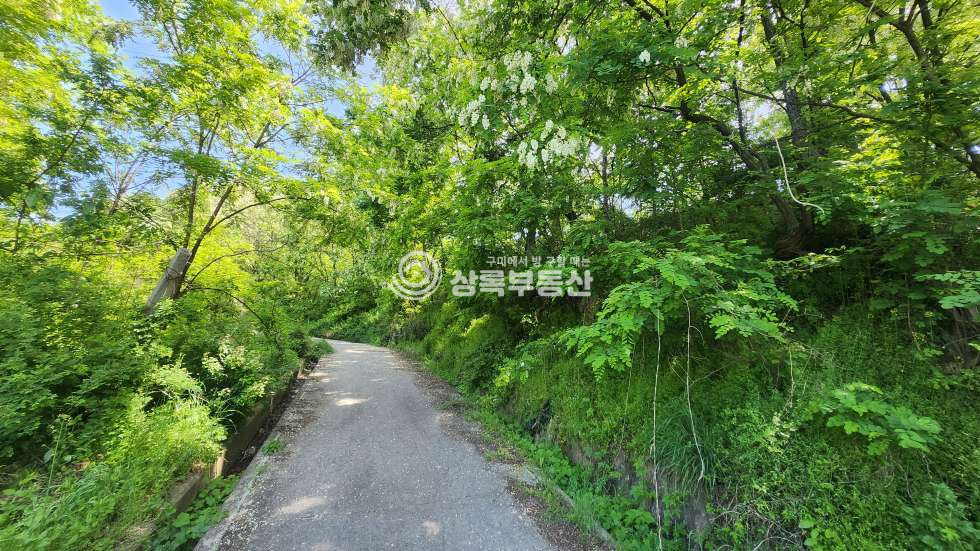 경북 김천시 대광동 김천시대광동주거지역임야 매매 매물번호 10379 사진 4