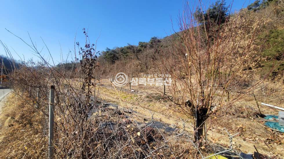 경북 김천시 남면 오봉리 김천 오봉리 전원주택지 매매 매물번호 10471 사진 7
