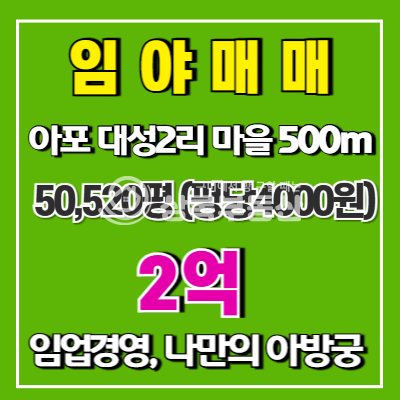 경북 김천시 아포읍 대성리 5만평이상 대형임야 매매 매물번호 10500 사진 1