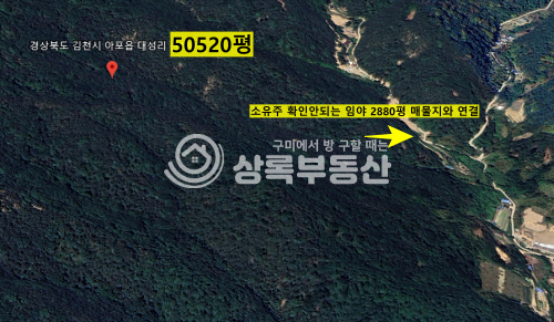 경북 김천시 아포읍 대성리 5만평이상 대형임야 매매 매물번호 10500 사진 3