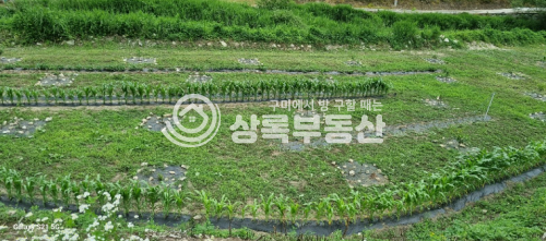 경북 김천시 부항면 안간리 160 계곡가옆 도로접,개발행위가능한1701평 매매 매물번호 10507 사진 2