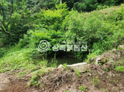 경북 김천시 부항면 안간리 160 계곡가옆 도로접,개발행위가능한1701평 매매 매물번호 10507 사진 6