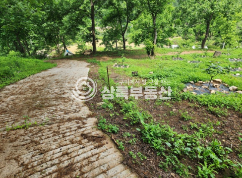 경북 김천시 부항면 안간리 실개천흐르고,감나무,탱자나무 있는 산새좋은 과수원 매매 매물번호 10508 사진 4