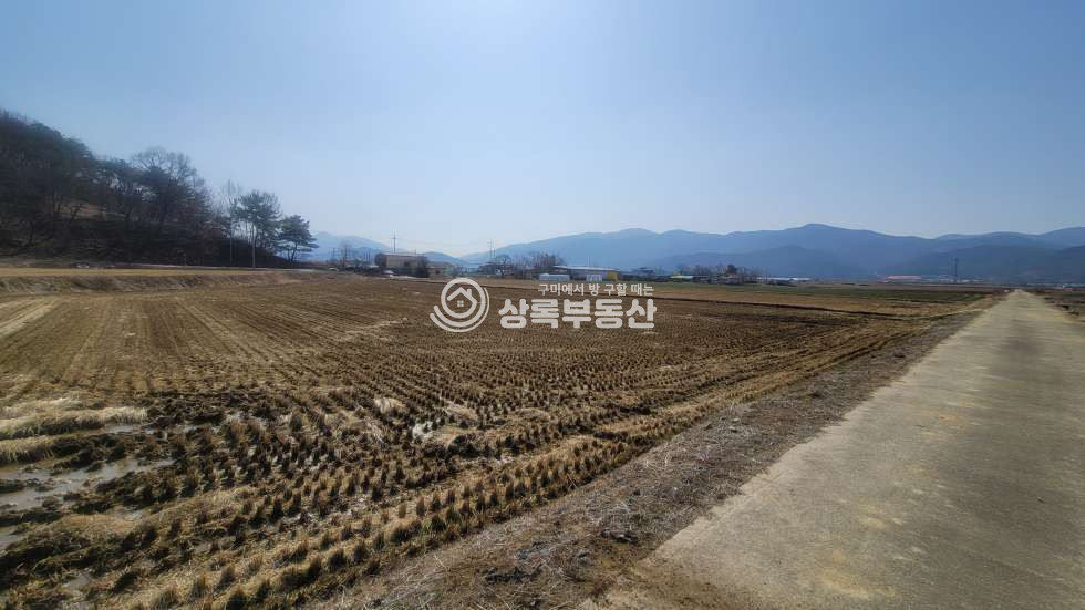 경북 구미시 도개면 가산리 가득지 앞 계획관리,농림지역, 초급매 매매 매물번호 10515 사진 5