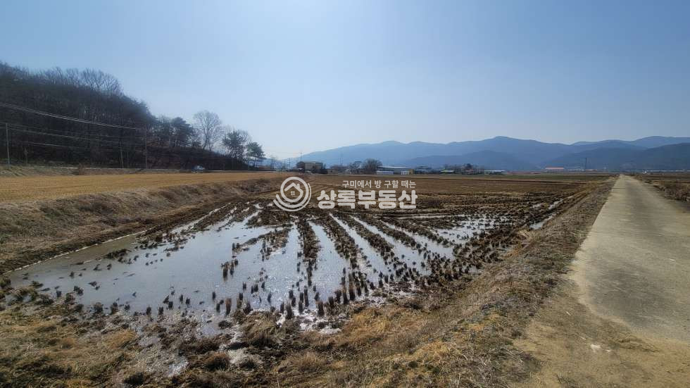 경북 구미시 도개면 가산리 가득지 앞 계획관리,농림지역, 초급매 매매 매물번호 10515 사진 7