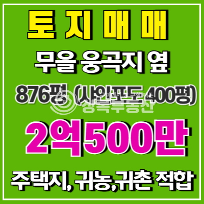 경북 구미시 무을면 웅곡리 웅곡지 옆 전망좋고, 양지바른 토지 매매 매물번호 10520 사진 1