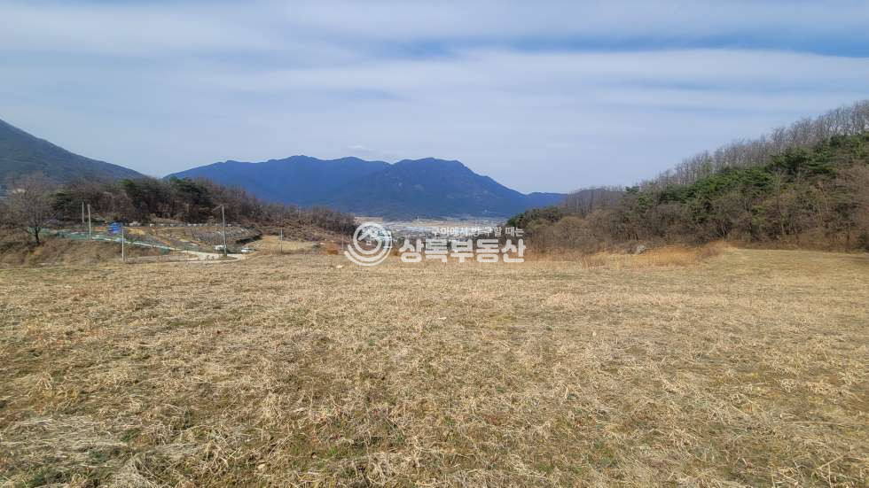 경북 칠곡군 북삼읍 보손리 보손리 성장관리계획구역 급매물토지 매매 매물번호 10523 사진 3