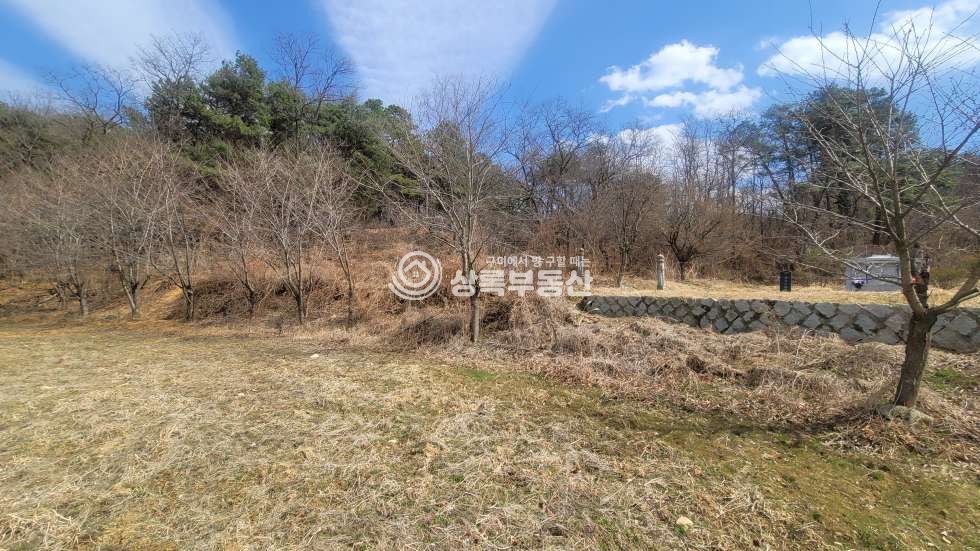 경북 칠곡군 북삼읍 보손리 보손리 성장관리계획구역 급매물토지 매매 매물번호 10523 사진 6