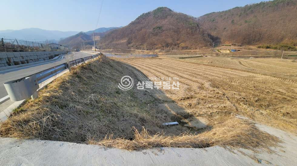 경북 김천시 부항면 대야리 도로접한 부항면대야리토지 매매 매물번호 10528 사진 5