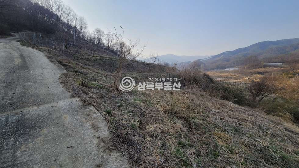 경북 김천시 부항면 대야리 도로접한 부항면대야리토지 매매 매물번호 10528 사진 9