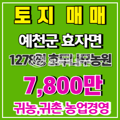 경북 예천군 효자면 명봉리 효자면 명봉리 호두나무농원매매 매매 매물번호 10531 사진 1
