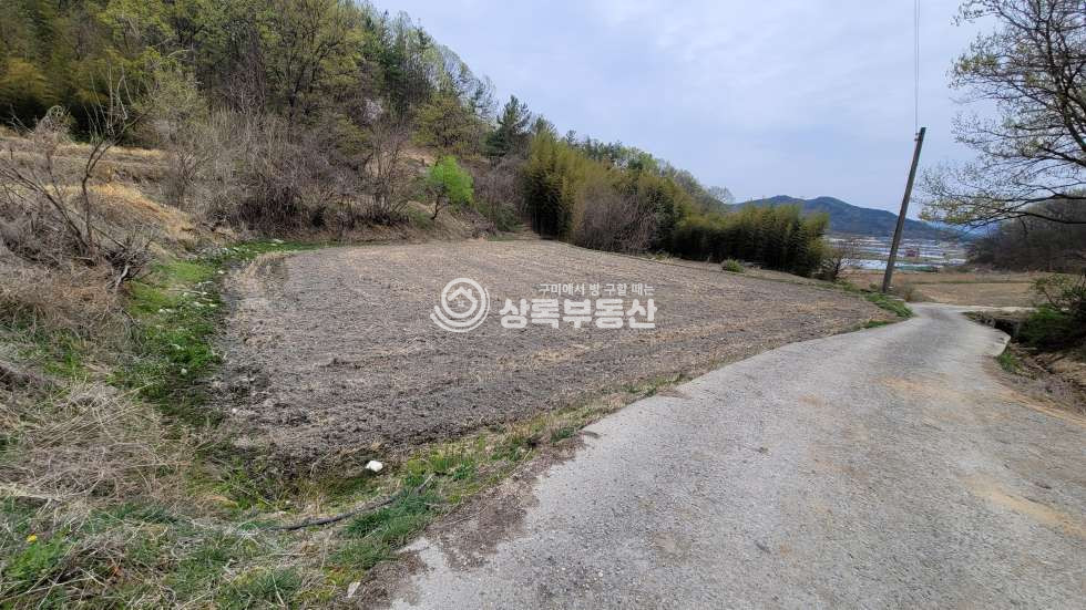 경북 김천시 감문면 금곡리 동네 뒤 주말농장, 체류형쉼터용 첫 입문하기 좋은 토지 매매 매물번호 10538 사진 2