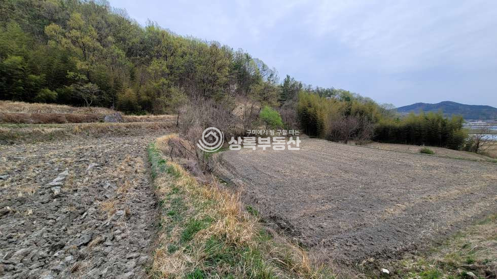 경북 김천시 감문면 금곡리 동네 뒤 주말농장, 체류형쉼터용 첫 입문하기 좋은 토지 매매 매물번호 10538 사진 4