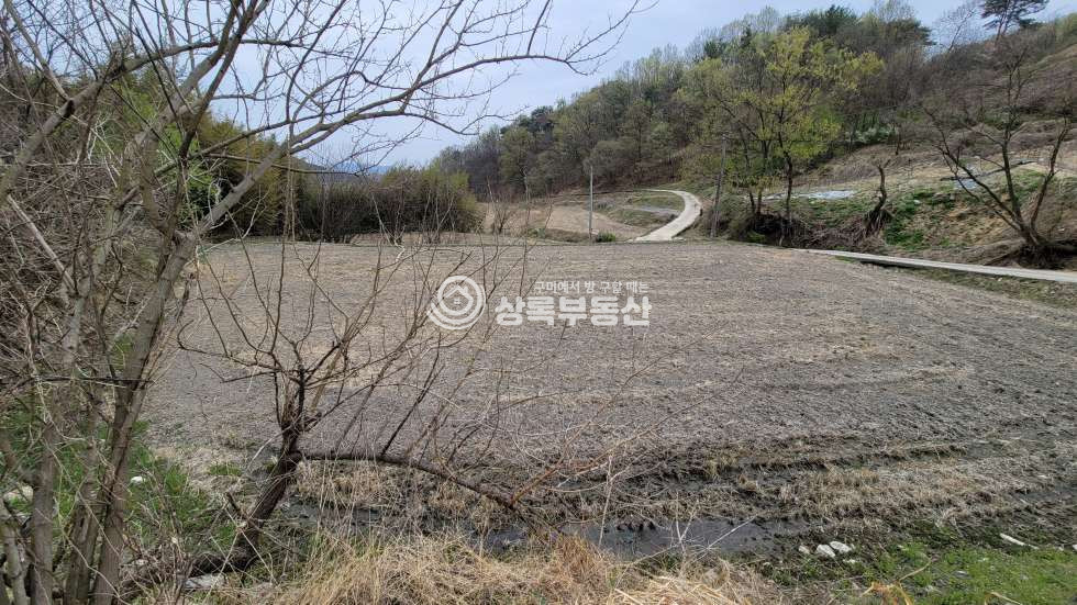 경북 김천시 감문면 금곡리 동네 뒤 주말농장, 체류형쉼터용 첫 입문하기 좋은 토지 매매 매물번호 10538 사진 6