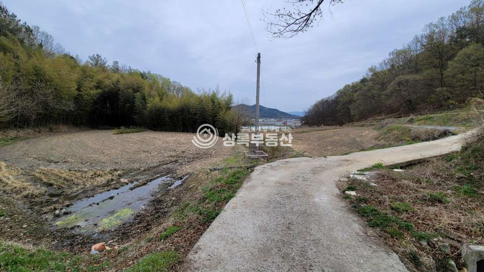 경북 김천시 감문면 금곡리 금곡리 마을 뒤 계획관리지역, 농지원부가능 매매 매물번호 10539 사진 3