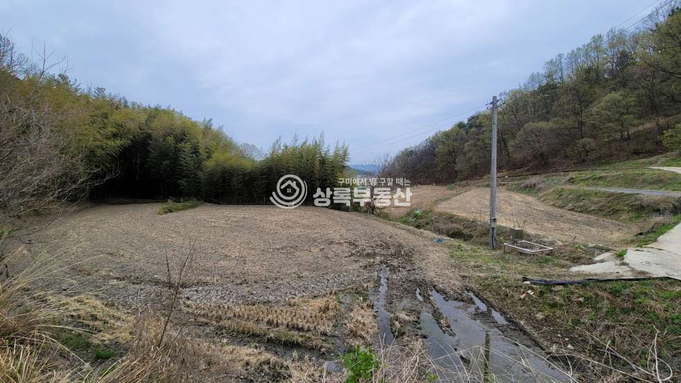 경북 김천시 감문면 금곡리 금곡리 마을 뒤 계획관리지역, 농지원부가능 매매 매물번호 10539 사진 5