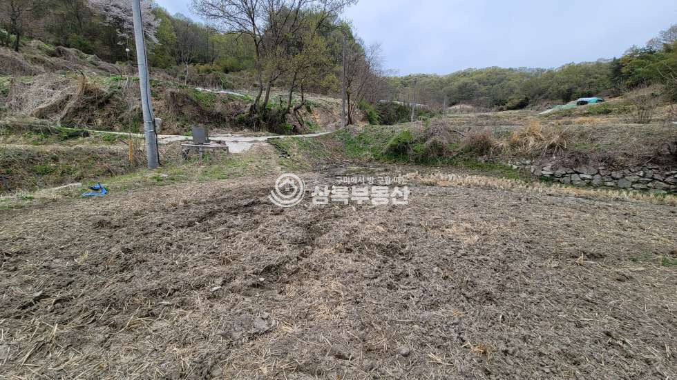 경북 김천시 감문면 금곡리 금곡리 마을 뒤 계획관리지역, 농지원부가능 매매 매물번호 10539 사진 8