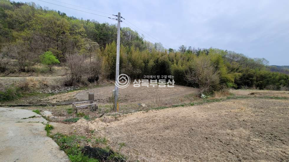 경북 김천시 감문면 금곡리 금곡리 마을 뒤 계획관리지역, 농지원부가능 매매 매물번호 10539 사진 9