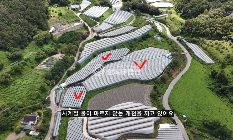 경북 김천시 대항면 향천리233 직지사인근 비가림포도재배하우 매매 매물번호 10553 사진 6
