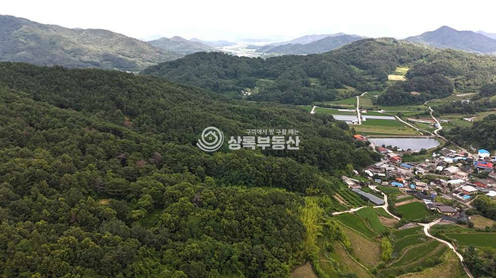 경북 김천시 감문면 금곡리 1070 마을에서 300미터 산속 관리잘된 토지 매매 매물번호 10545 사진 1
