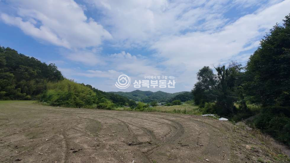 경북 김천시 감문면 금곡리 1070 마을에서 300미터 산속 관리잘된 토지 매매 매물번호 10545 사진 2