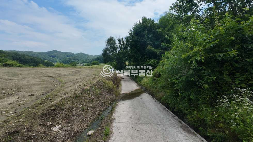 경북 김천시 감문면 금곡리 1070 마을에서 300미터 산속 관리잘된 토지 매매 매물번호 10545 사진 4