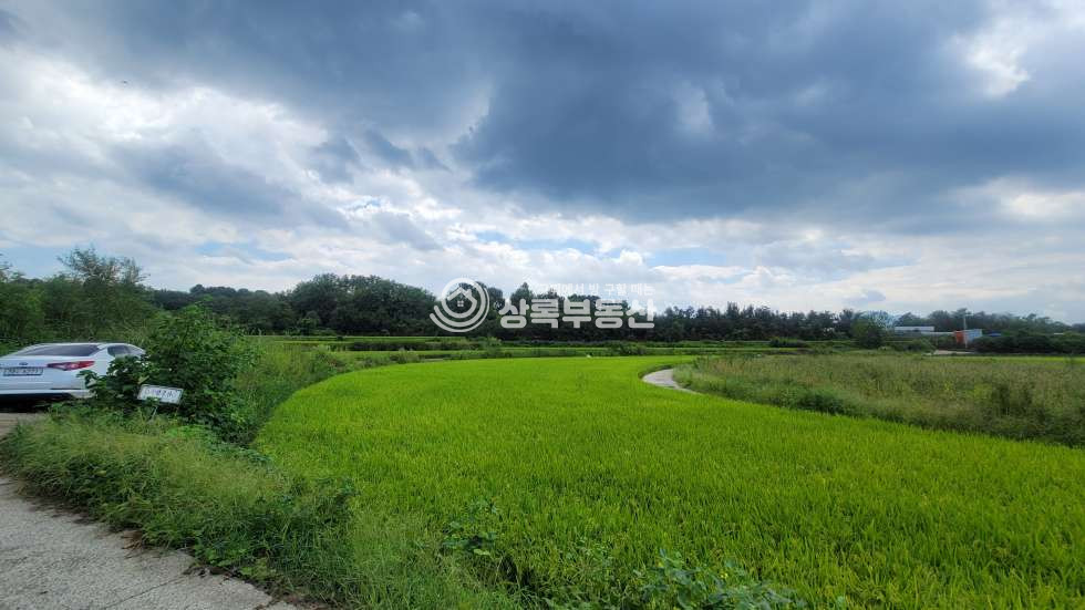 경북 구미시 해평면 오상리415 해평 오상택지개발예정지 급매물토지매매 매매 매물번호 10557 사진 1