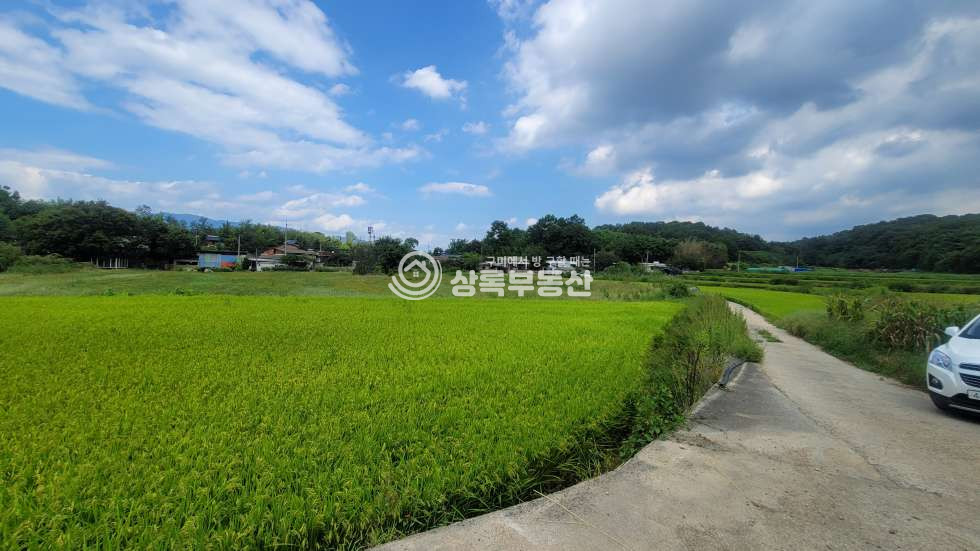 경북 구미시 해평면 오상리415 해평 오상택지개발예정지 급매물토지매매 매매 매물번호 10557 사진 3